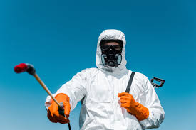 Best Bed Bug Extermination  in Womelsdorf, PA